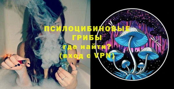 СК Зеленокумск