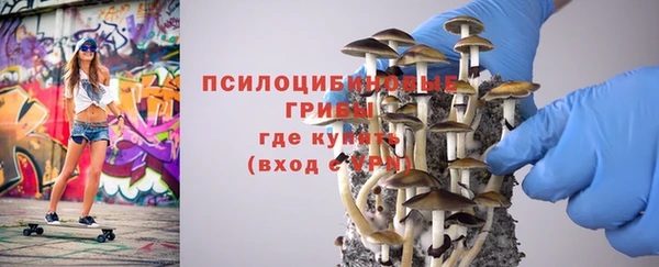 СК Зеленокумск