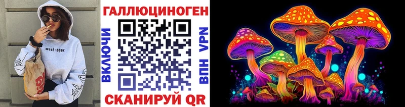 Галлюциногенные грибы Psilocybe  Купить где  Невель 
